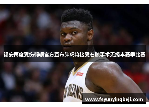 锡安再度受伤鹈鹕官方宣布胖虎将接受右膝手术无缘本赛季比赛